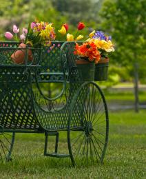 Flower cart