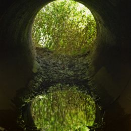 Viewthrougharainwaterculvert