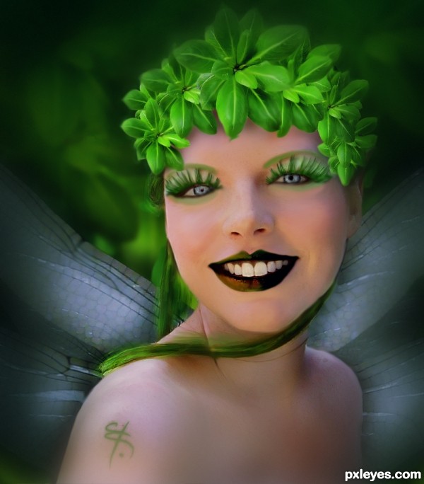 Creation of Forest Fairie: Final Result