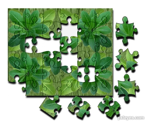 leaves puzzle