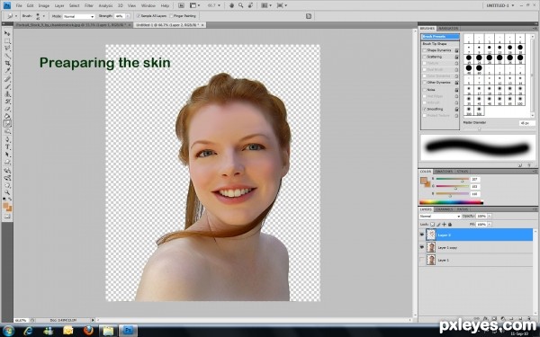 Creation of Forest Fairie: Step 1