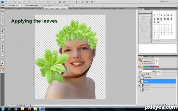 Creation of Forest Fairie: Step 2