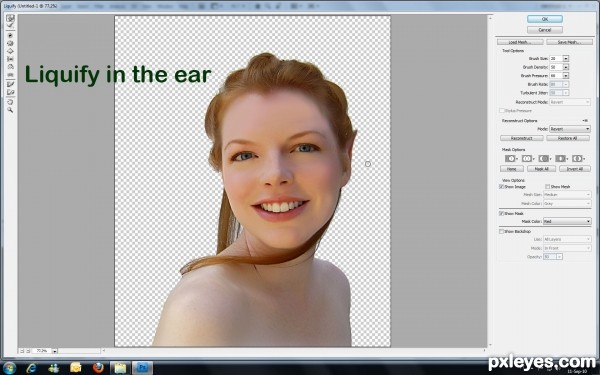 Creation of Forest Fairie: Step 3