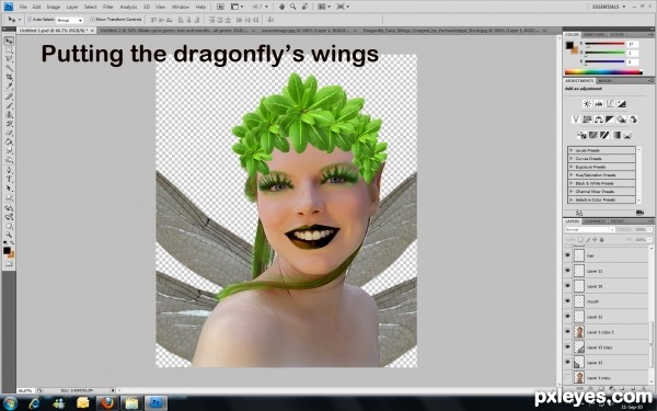 Creation of Forest Fairie: Step 5