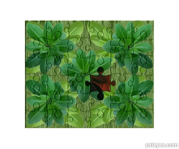 Creation of leaves puzzle: Step 5