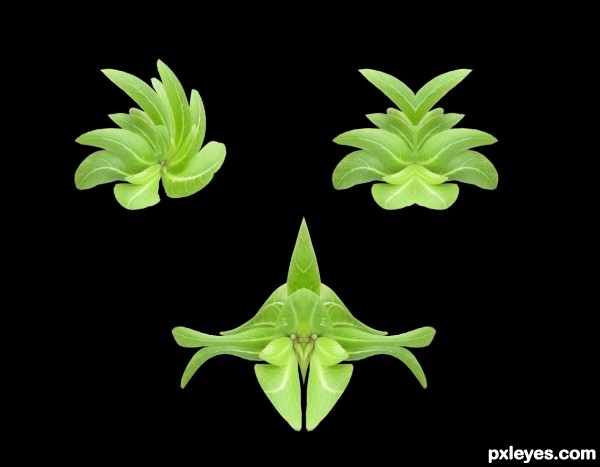 Creation of Leaf & Flower: Step 2