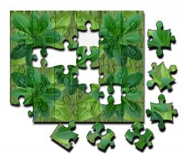 leaves puzzle