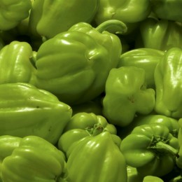 GreenPeppers