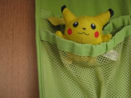 A wild Pikachu appeared! Picture