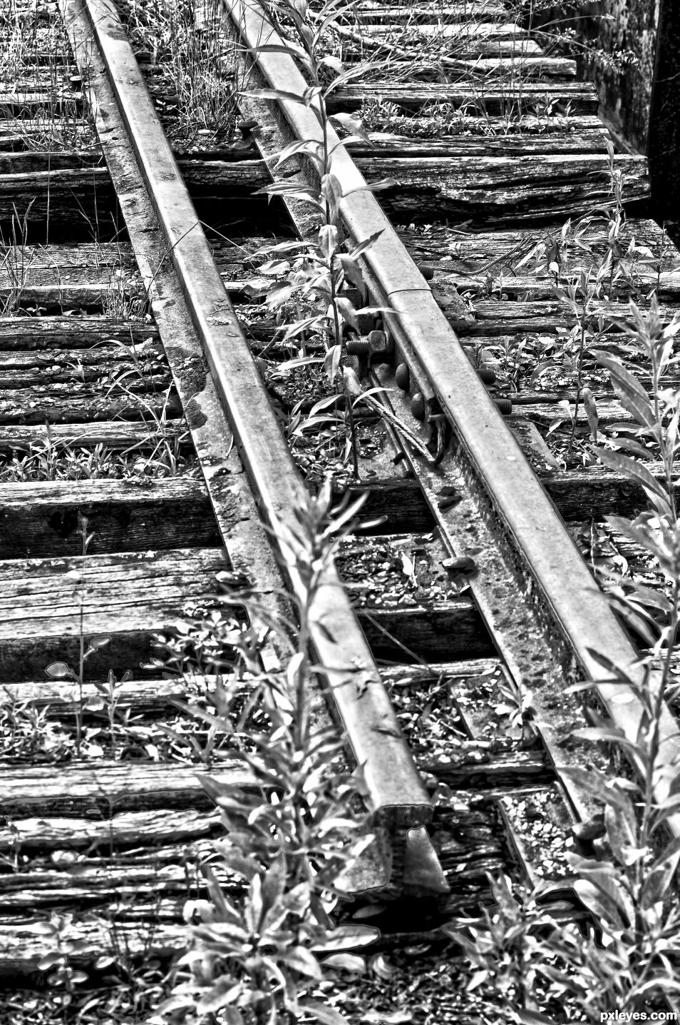 Old Tracks