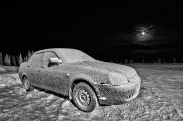Frosted Lada