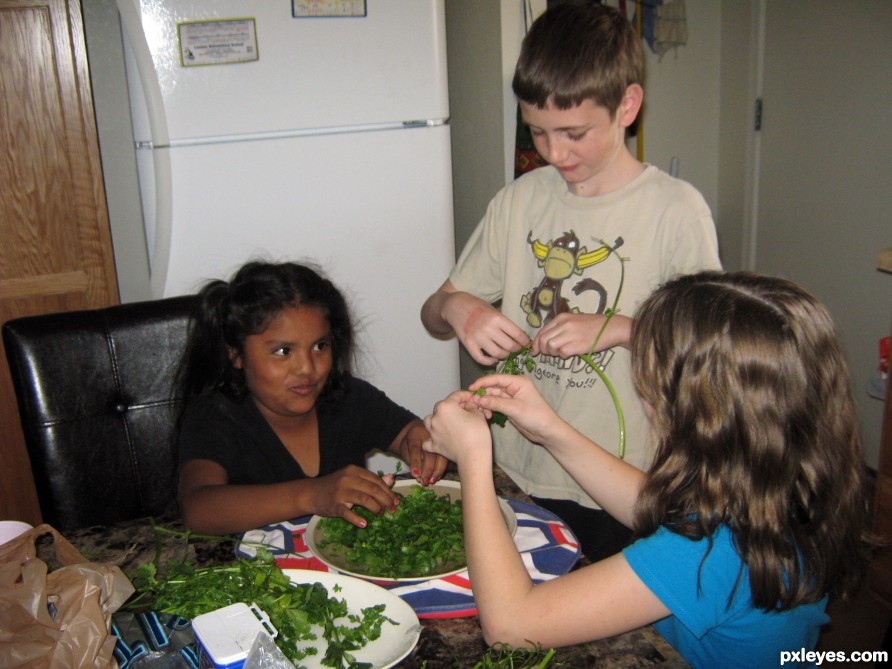 Dinner Helpers