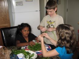 Dinner Helpers