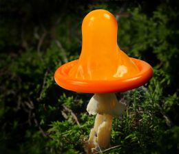 Safe Sex Shroom