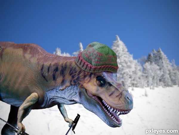 Ski Rex