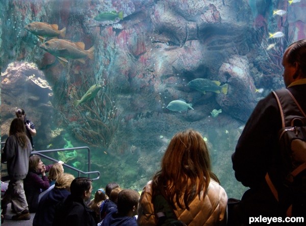 Creation of At The Aquarium: Final Result