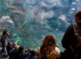 At The Aquarium