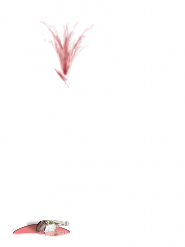 Creation of Owf wif es ed: Step 1