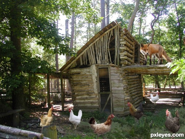 Creation of Fox guarding the hen house: Final Result