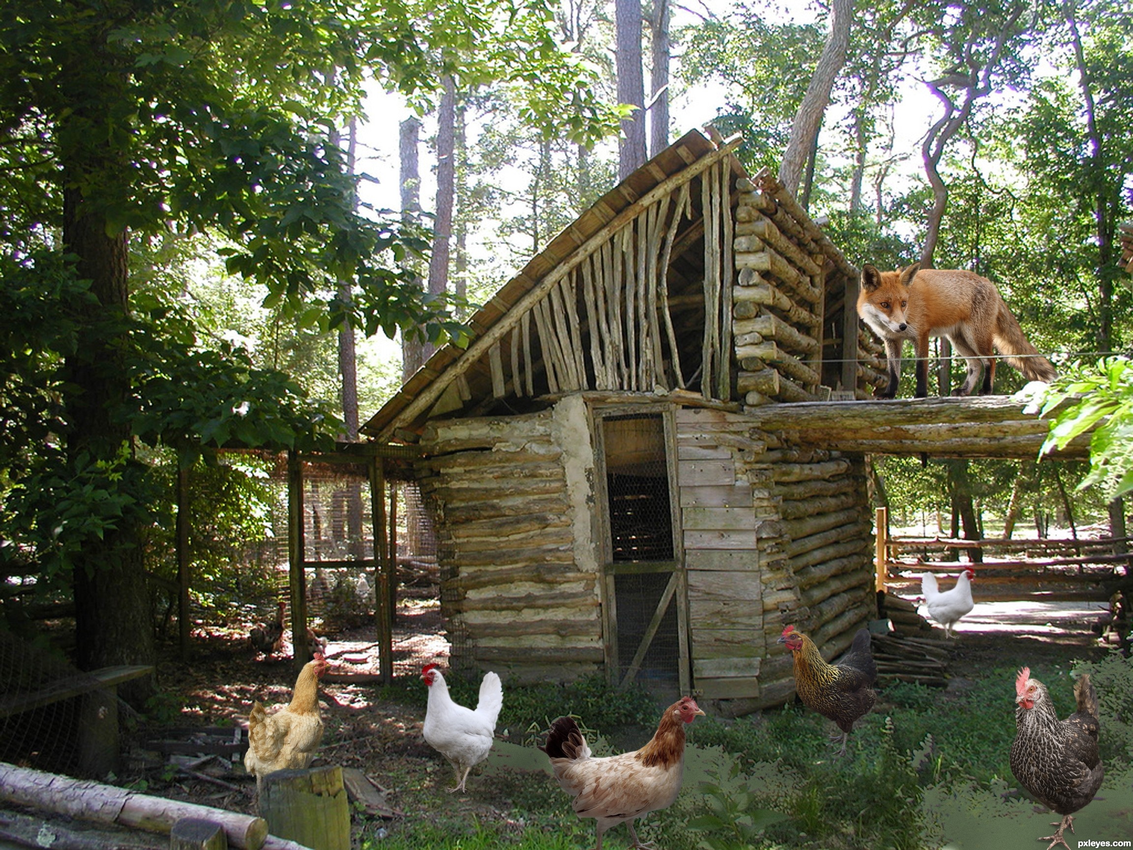 Fox guarding the hen house picture, by CMYK46 for: guardians photoshop 