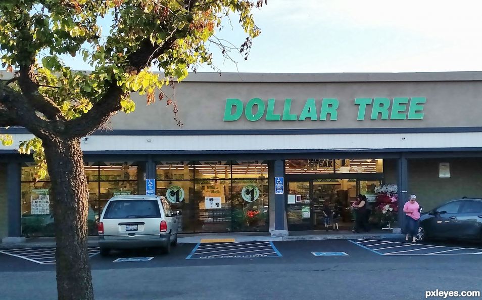 Dollar Tree