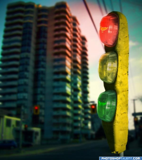 Gulls traffic light