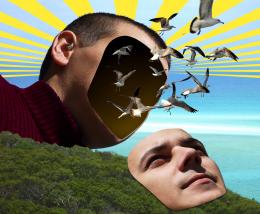 BirdBrain