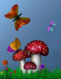 Mushrooms