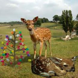 deer with magical tree