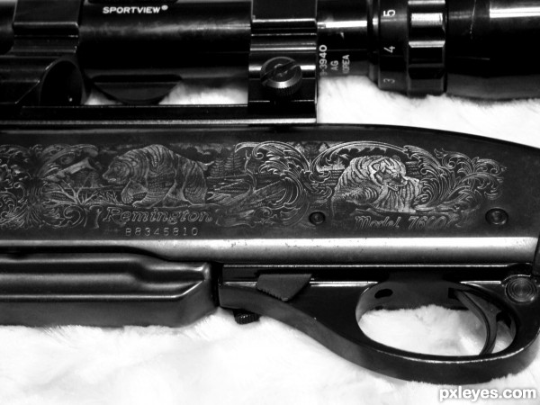 etched gun