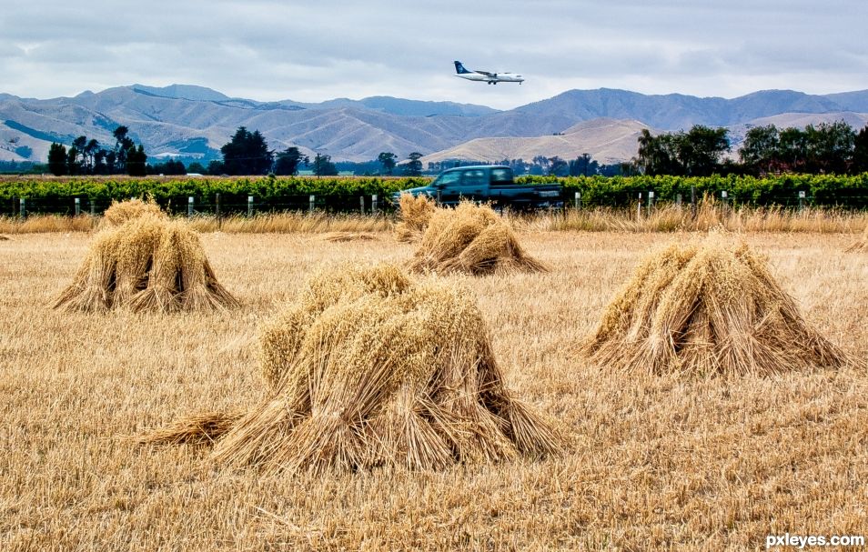 Hay in front of hills