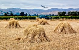 Hay in front of hills