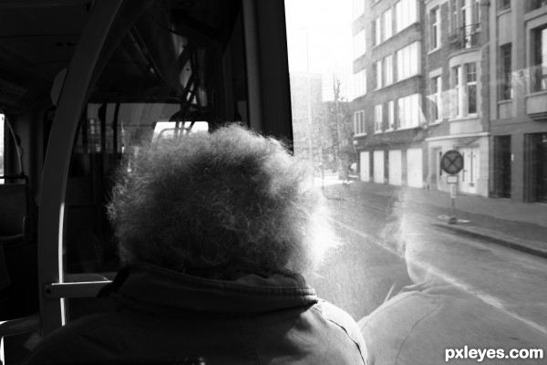 Curly man on the bus