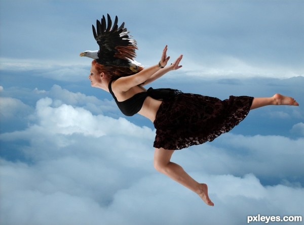 Creation of Soar Like An Eagle: Step 6