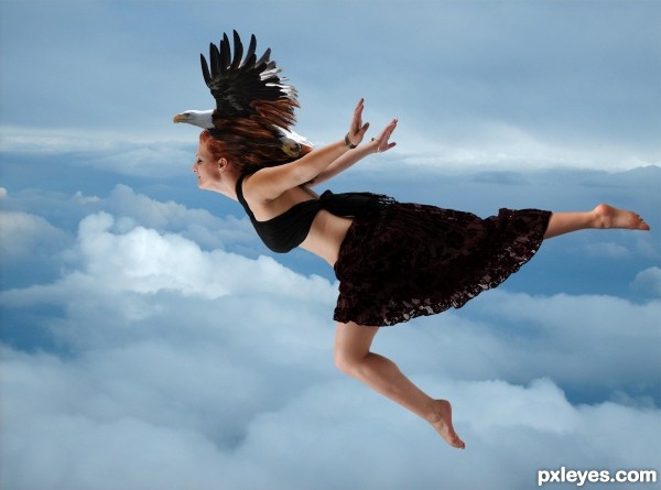 Creation of Soar Like An Eagle: Step 7