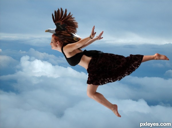 Creation of Soar Like An Eagle: Step 11