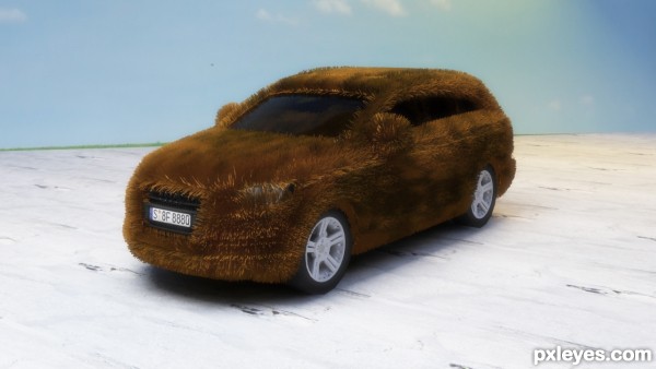 Hairy car