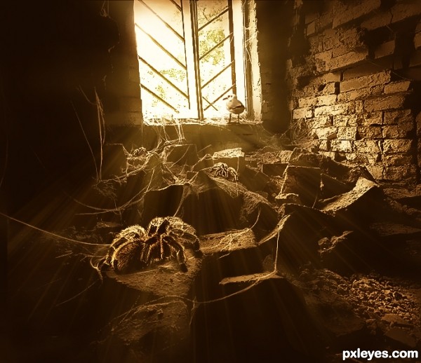 Deadly Spiders photoshop picture)