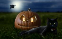 Halloween night Picture