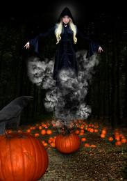 pumpkin queen Picture