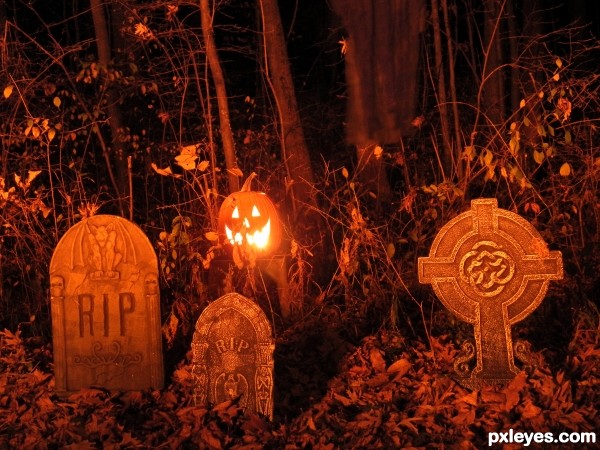 Where pumpkins go to die