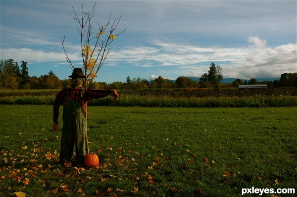 scarecrow 