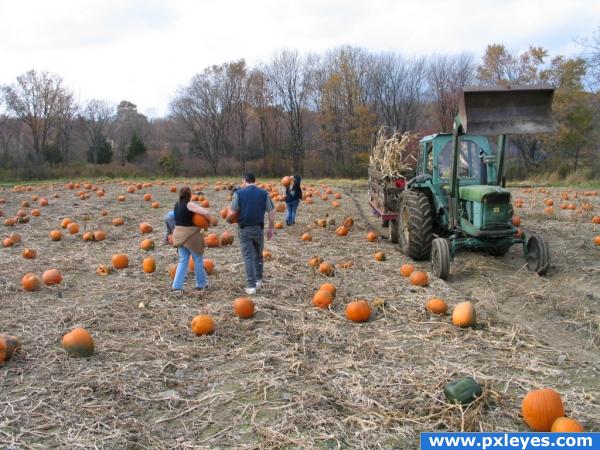 Halloween at the farm