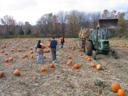 Halloween at the farm