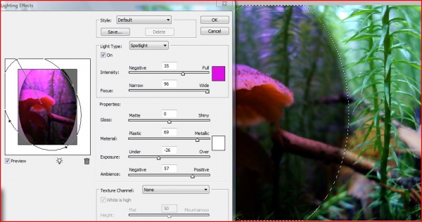 Creation of Too Many Shrooms: Step 2