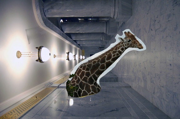 Creation of Zoo.Earth.3011: Step 3