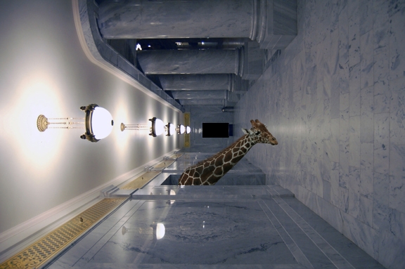 Creation of Zoo.Earth.3011: Step 4