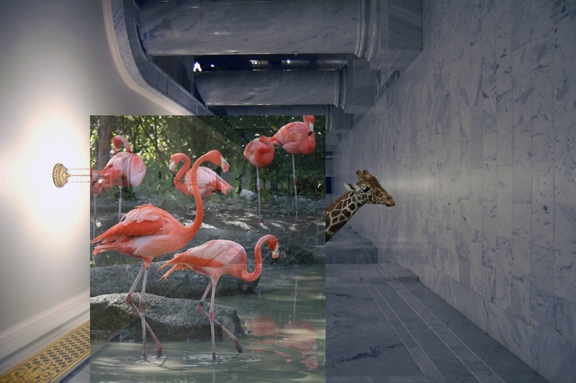 Creation of Zoo.Earth.3011: Step 6