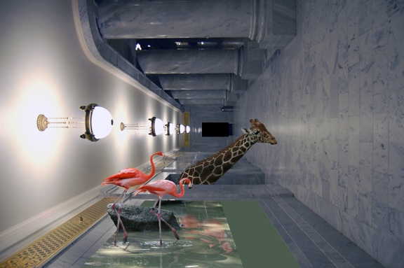 Creation of Zoo.Earth.3011: Step 8