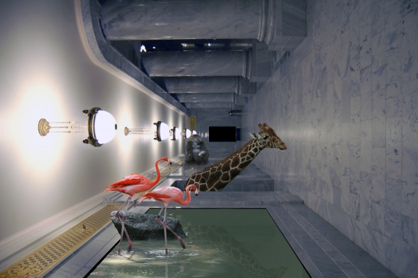 Creation of Zoo.Earth.3011: Step 10